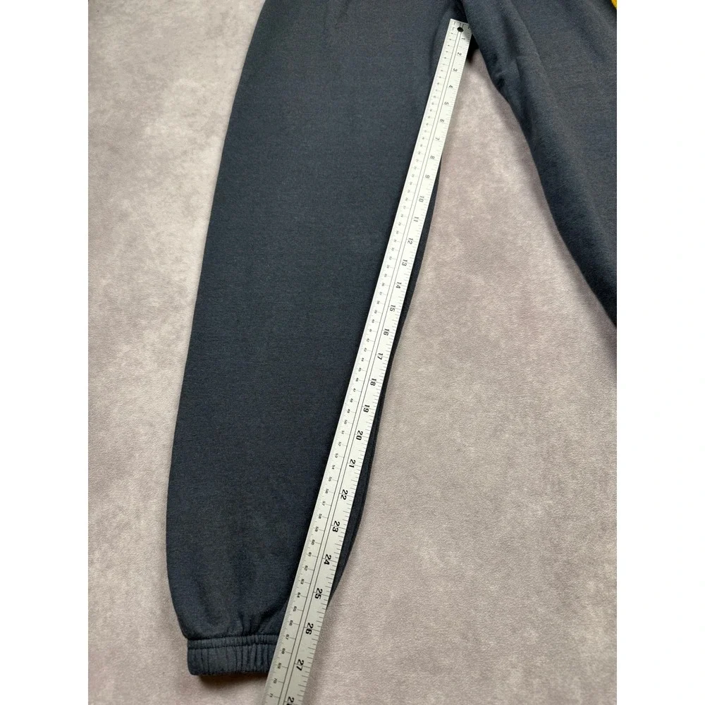 Aviator Nation Sweatpants Women XS Gray Rainbow Stripe Joggers USA Retro Sporty - Picture 5 of 12